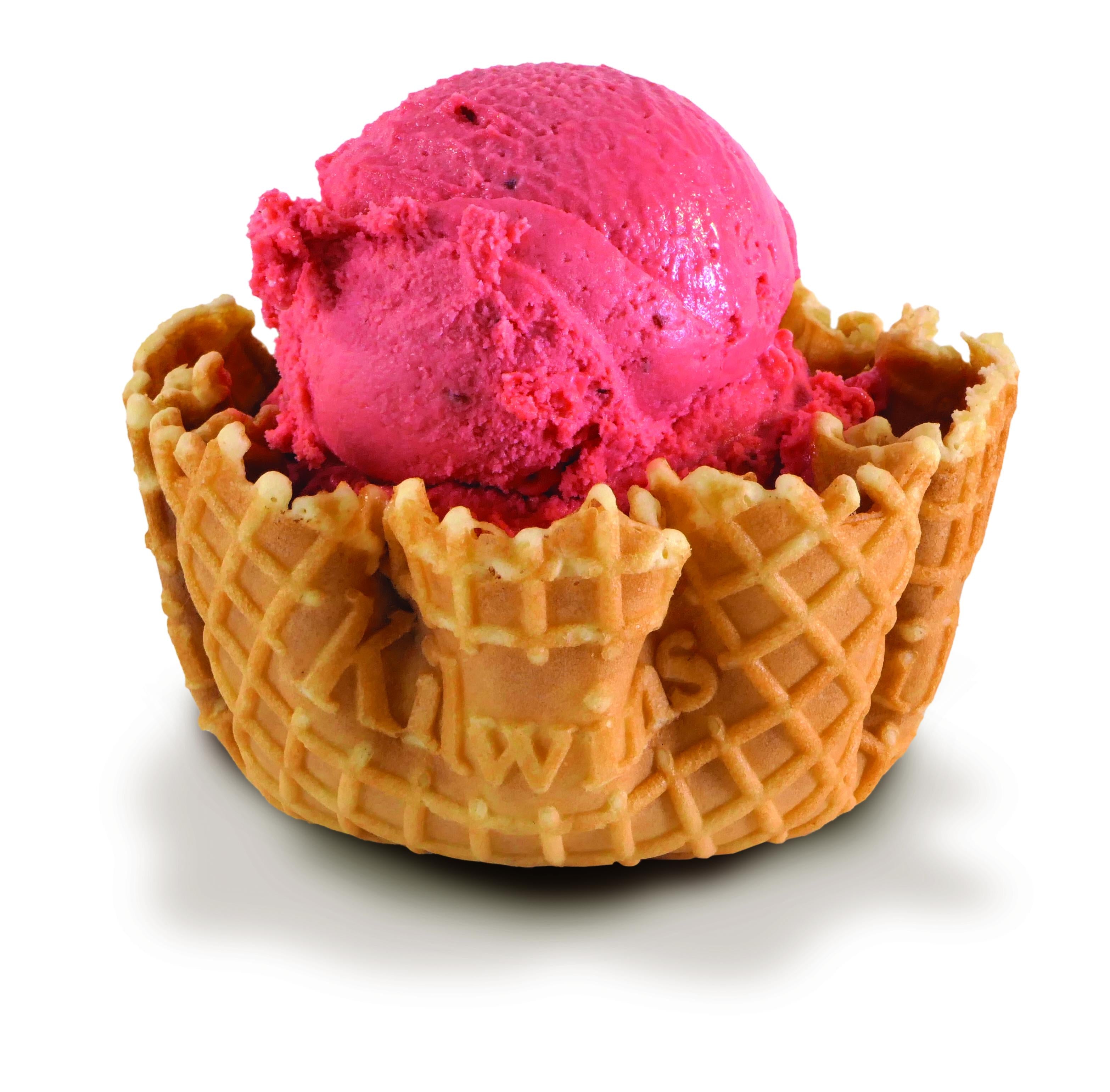 Raspberry Sorbetto